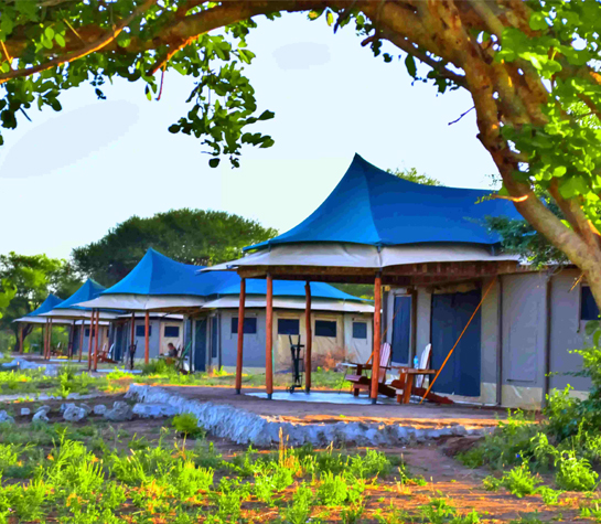 Korongo Luxury Camp