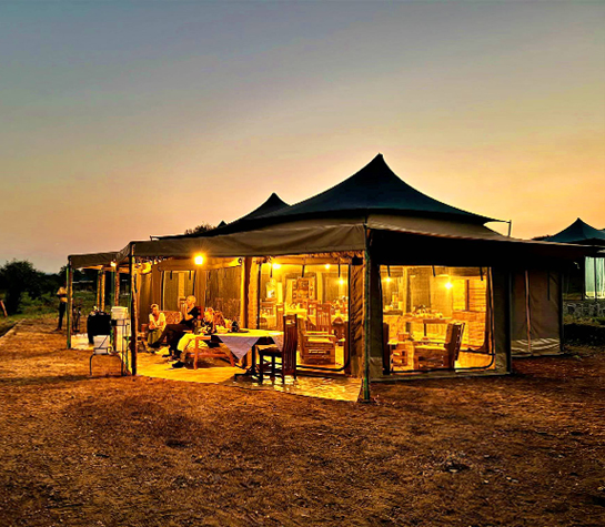 Serengeti Bush Camp — photo 4