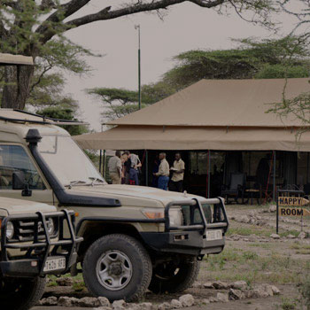 Serengeti Bush Camp — photo 5