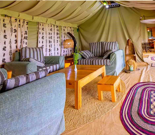Serengeti Bush Camp — photo 2